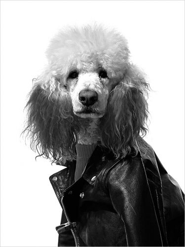 Pet parent portrait